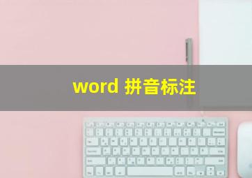 word 拼音标注